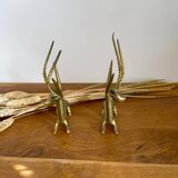Pair of brass antelopes
