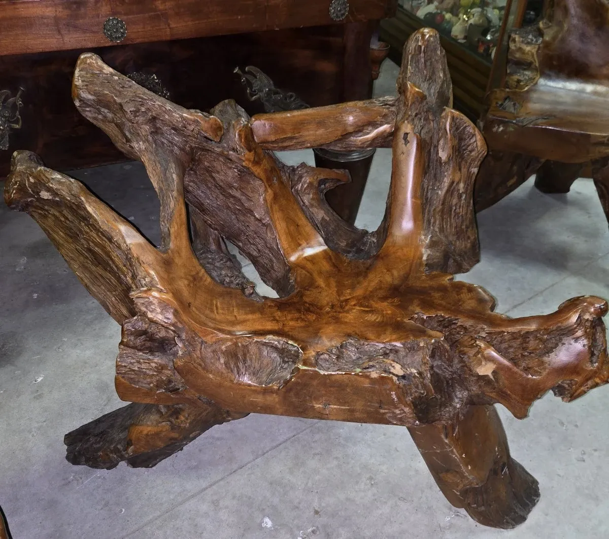 Rare fauteuil en racine d'arbre