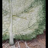 Cabbage leaf plate Barbotine