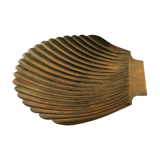 Flat scallop