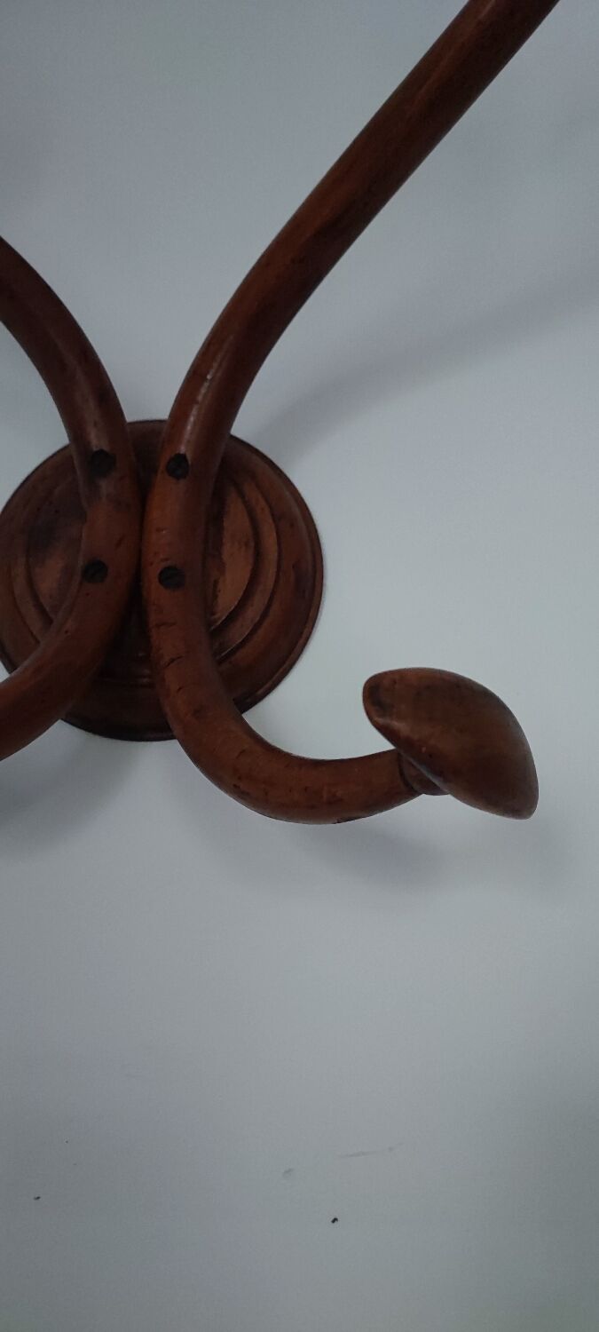 Curved wooden coat hook, circa 1900