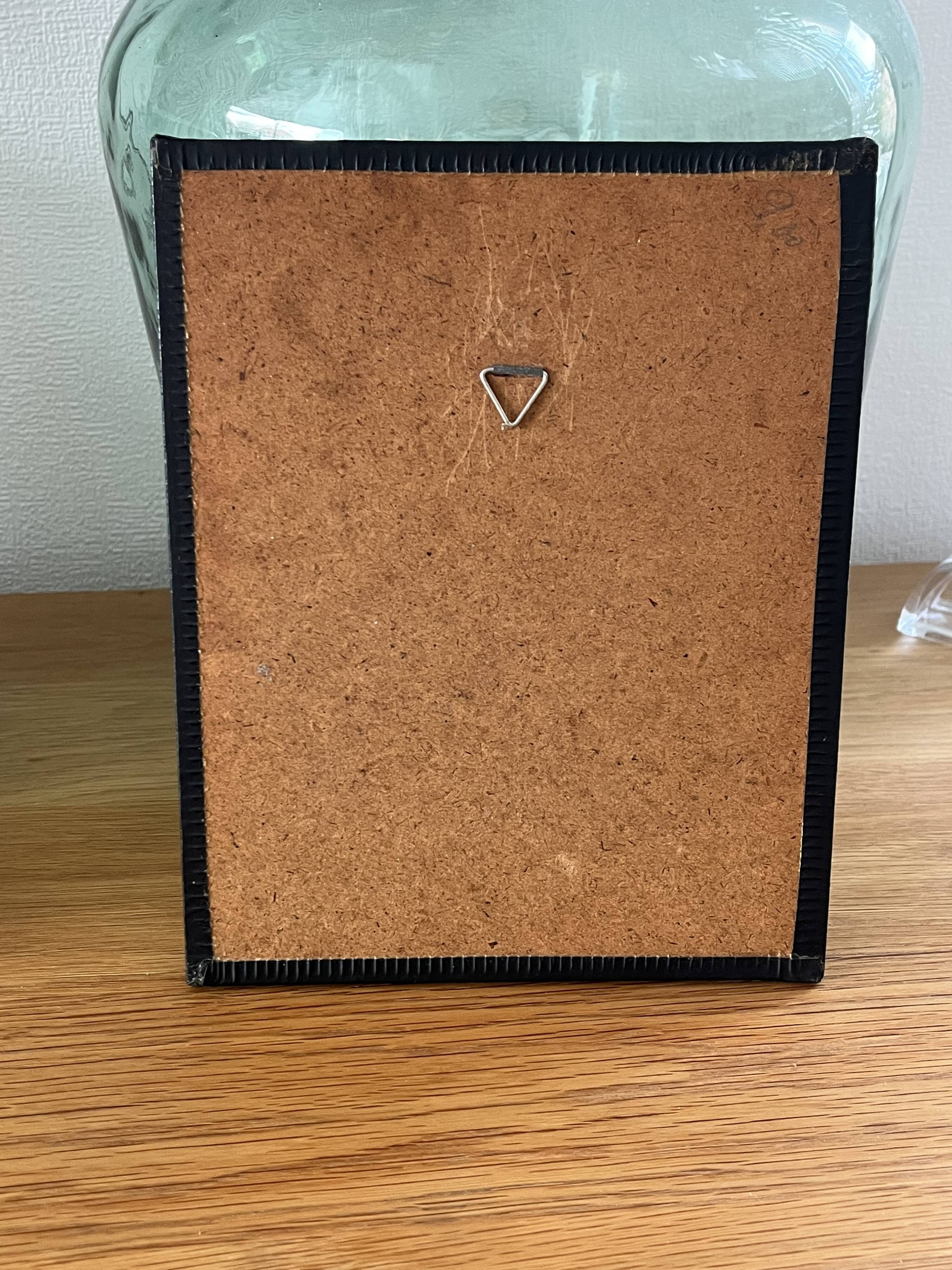 Former naturalist Ph Gonner