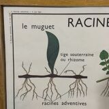 School poster by Rossignol double side