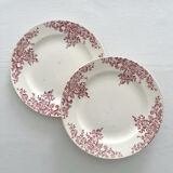 2 flat plates made of ironstone "Louis XV" Choisy le Roi