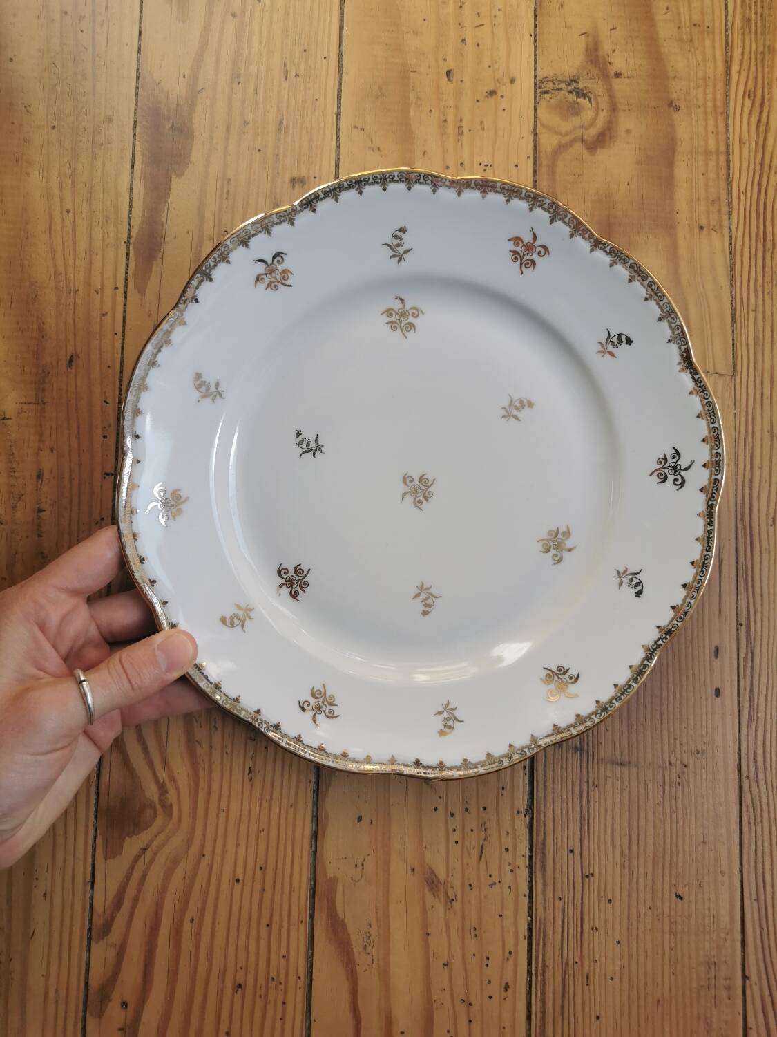 Old SFP porcelain dinner plates