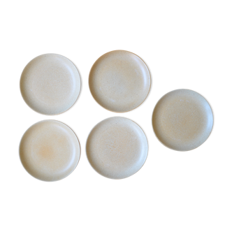 Lot of 5 flat plates in sandstone