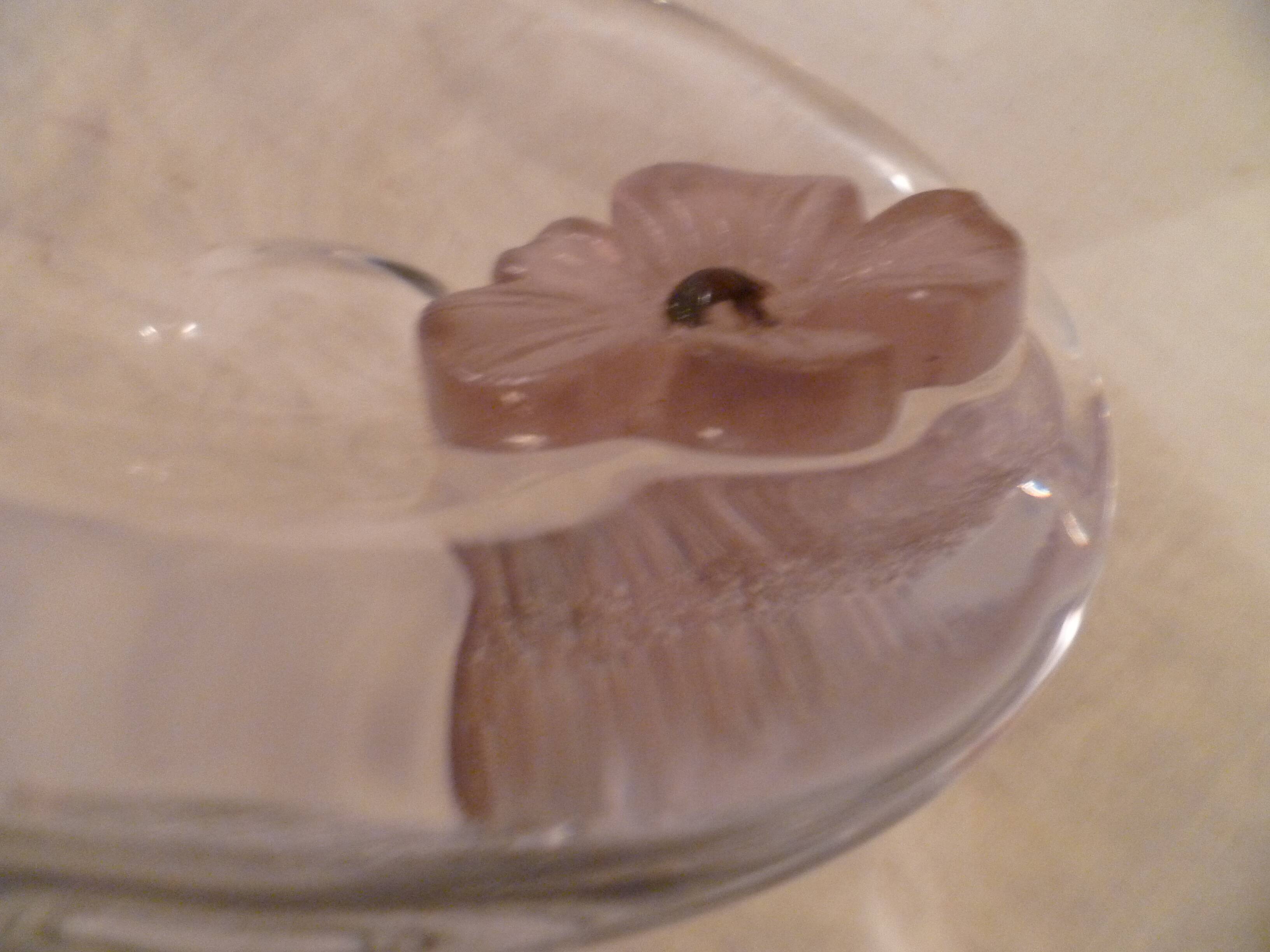 Daum france glass ashtray/pouch in glass paste signed "anemone" decor 70's