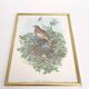 Vintage bird's nest lithograph by J. Gould and H-C Richter golden frame
