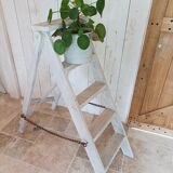 Painter's ladder