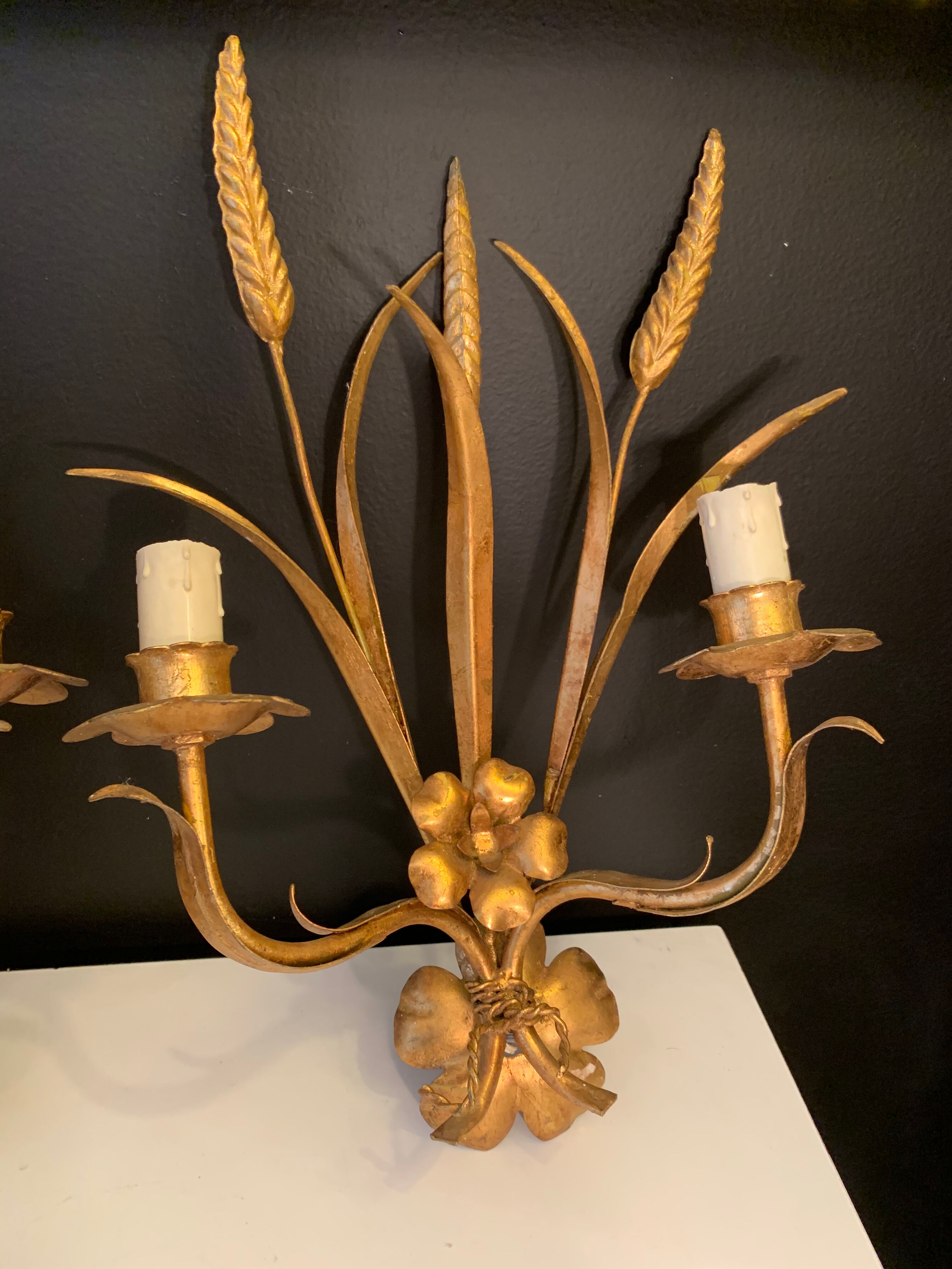Pair of 1950 design sconces in gold metal sheaf of wheat