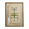 Insect watercolor glass frame