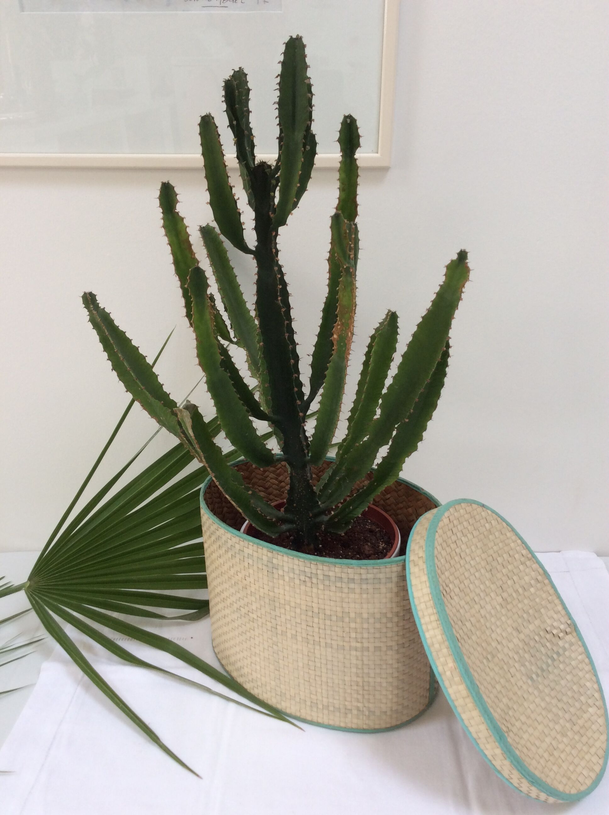 Basket with lid vintage