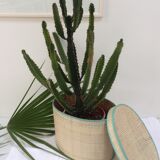 Basket with lid vintage