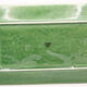 Rectangular dish in vintage lemon slip and made in France