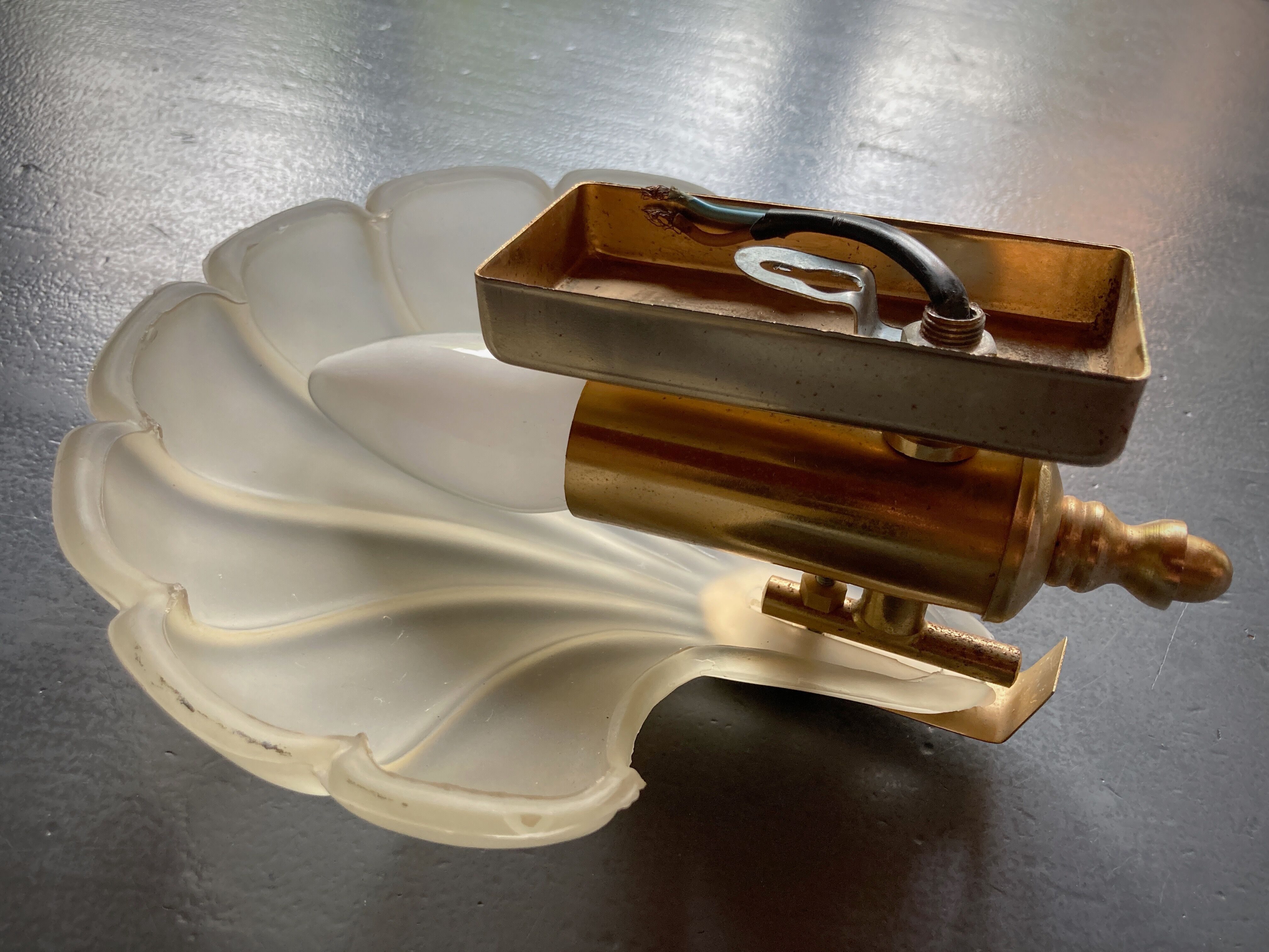 Frosted glass shell wall lamps