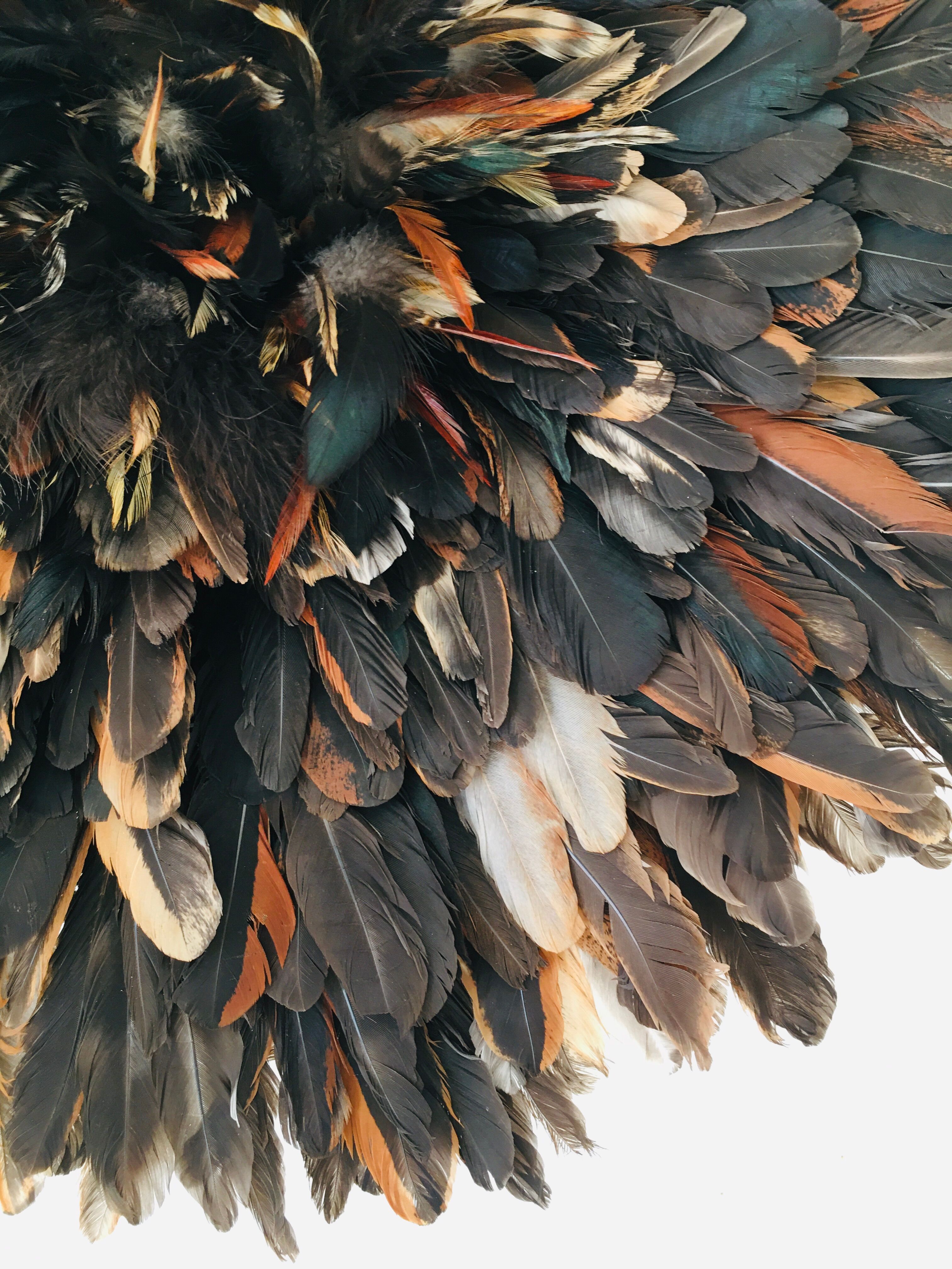 Speckled black jujuhat 55 cm