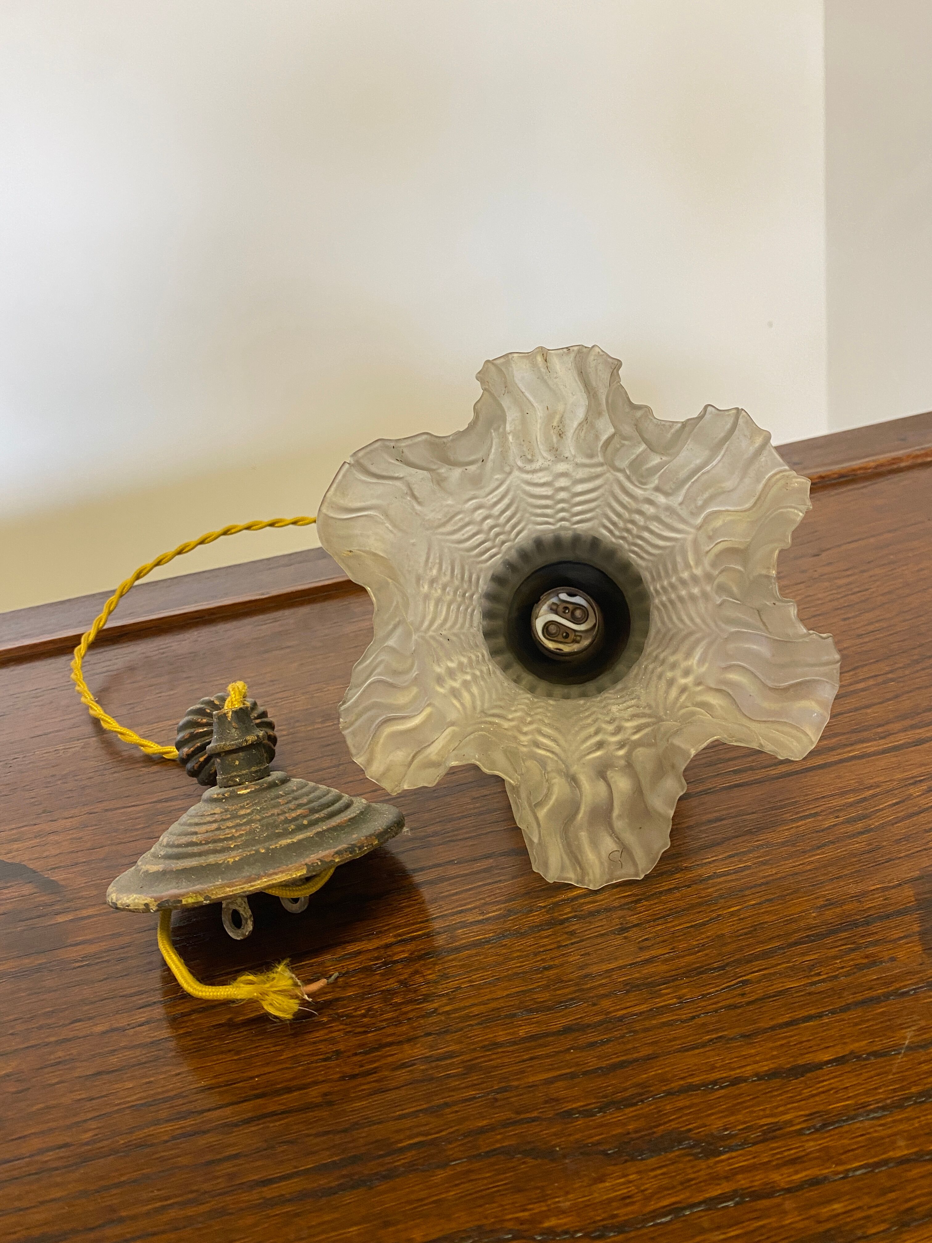 Flower suspension 1900
