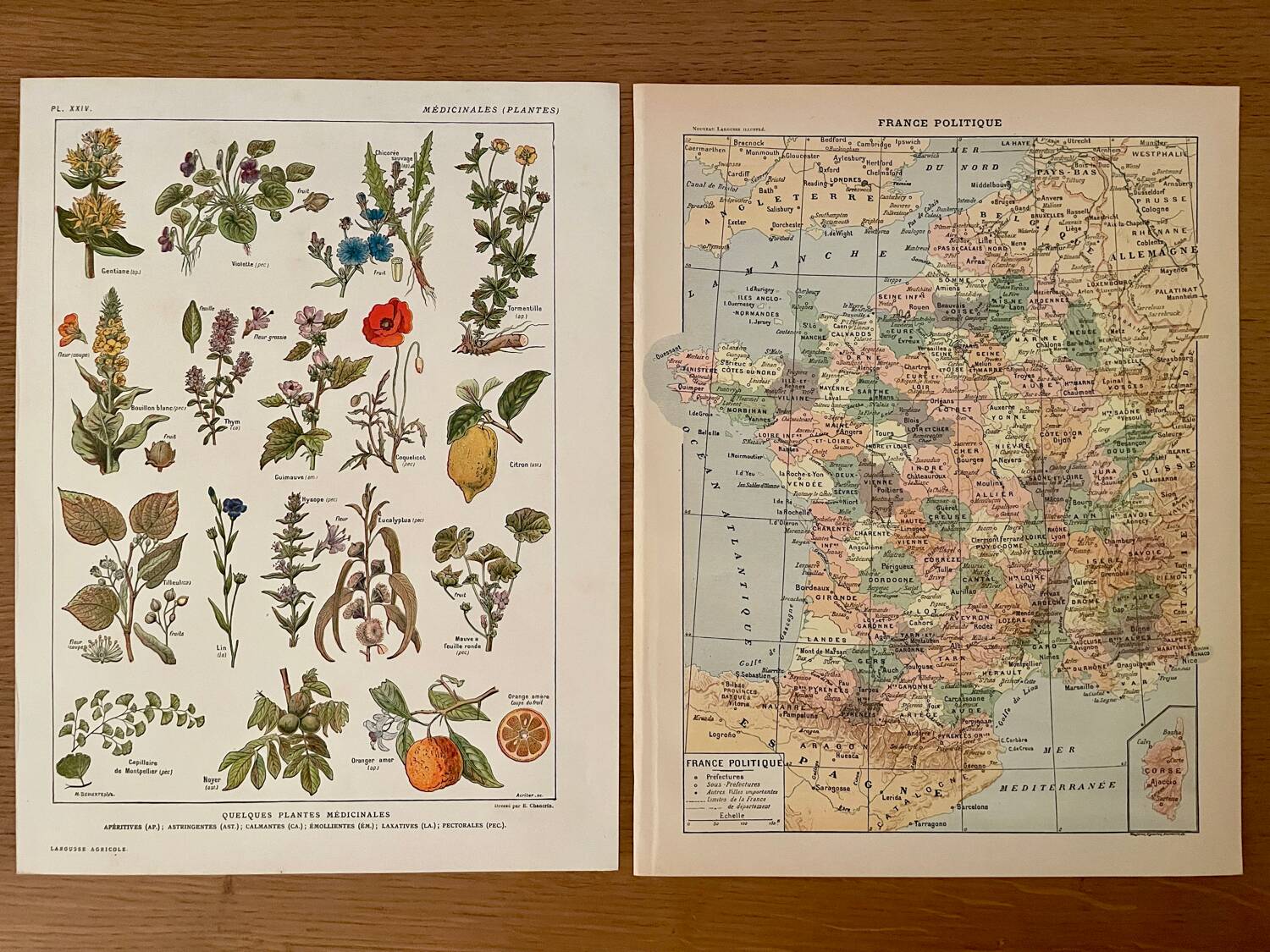 Reserved Noémie - Set of 2 illustrated boards from the 20th century.
