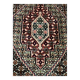 Iranian carpet