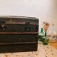 Transport trunk