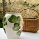 Large lotus or water lily barbotine vase