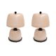 Pair of Italian Murano Glass Table Lamps in Blush Pink with Brass Details