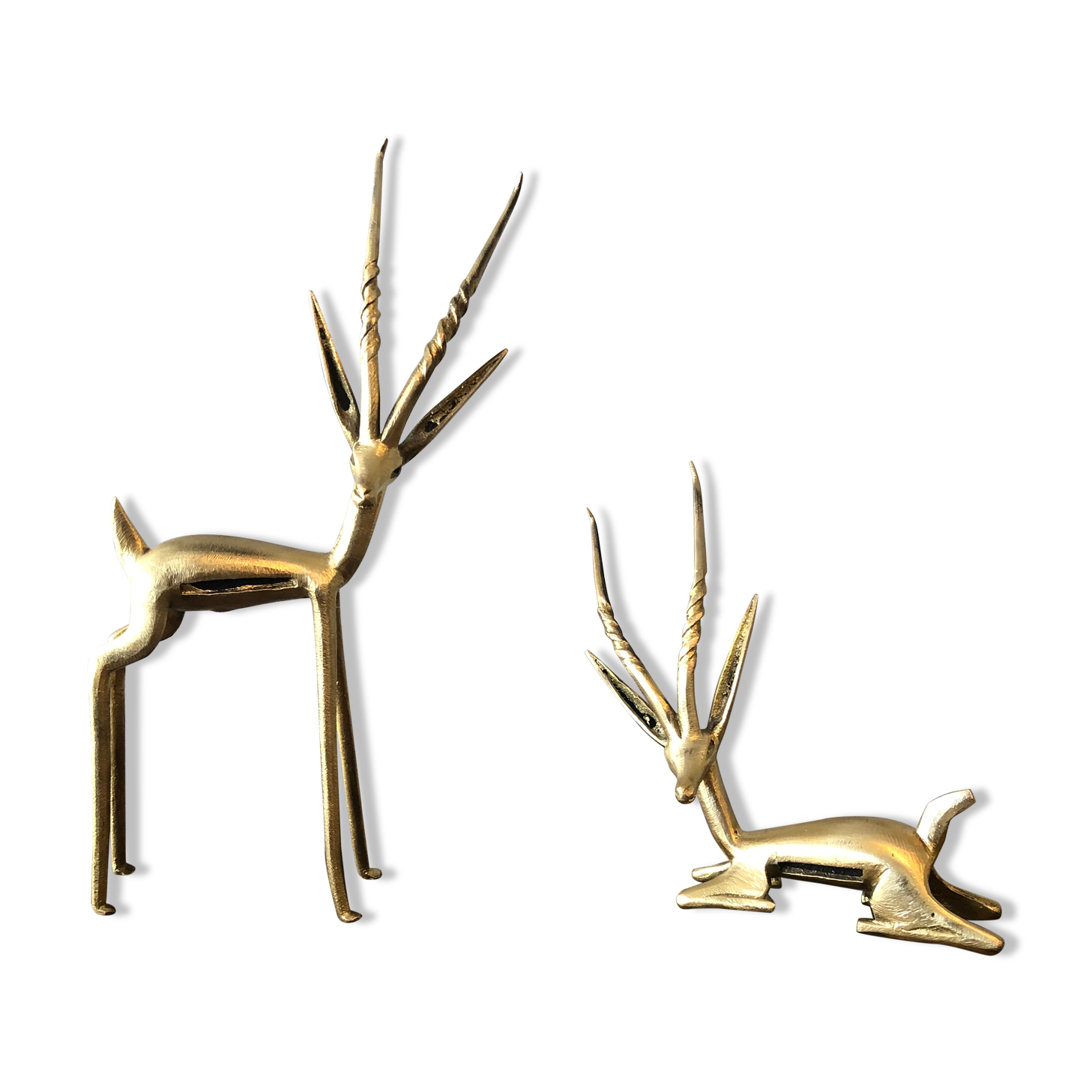 Two golden animal subjects