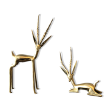 Two golden animal subjects