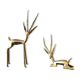 Two golden animal subjects