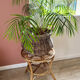 Rattan side table