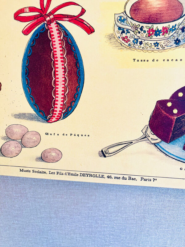 Affiche scolaire vintage cacao – Émile Deyrolle Paris années 70