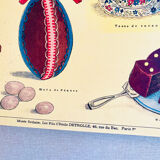 Vintage school poster cocoa – Émile Deyrolle Paris 1970s