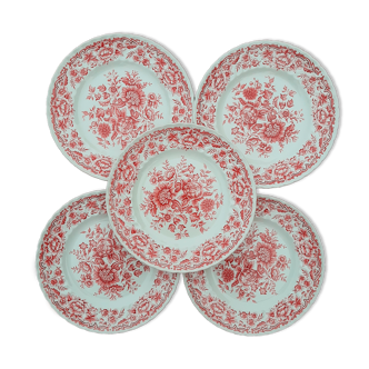 5 assiettes porcelaine anglaise Staffordshire