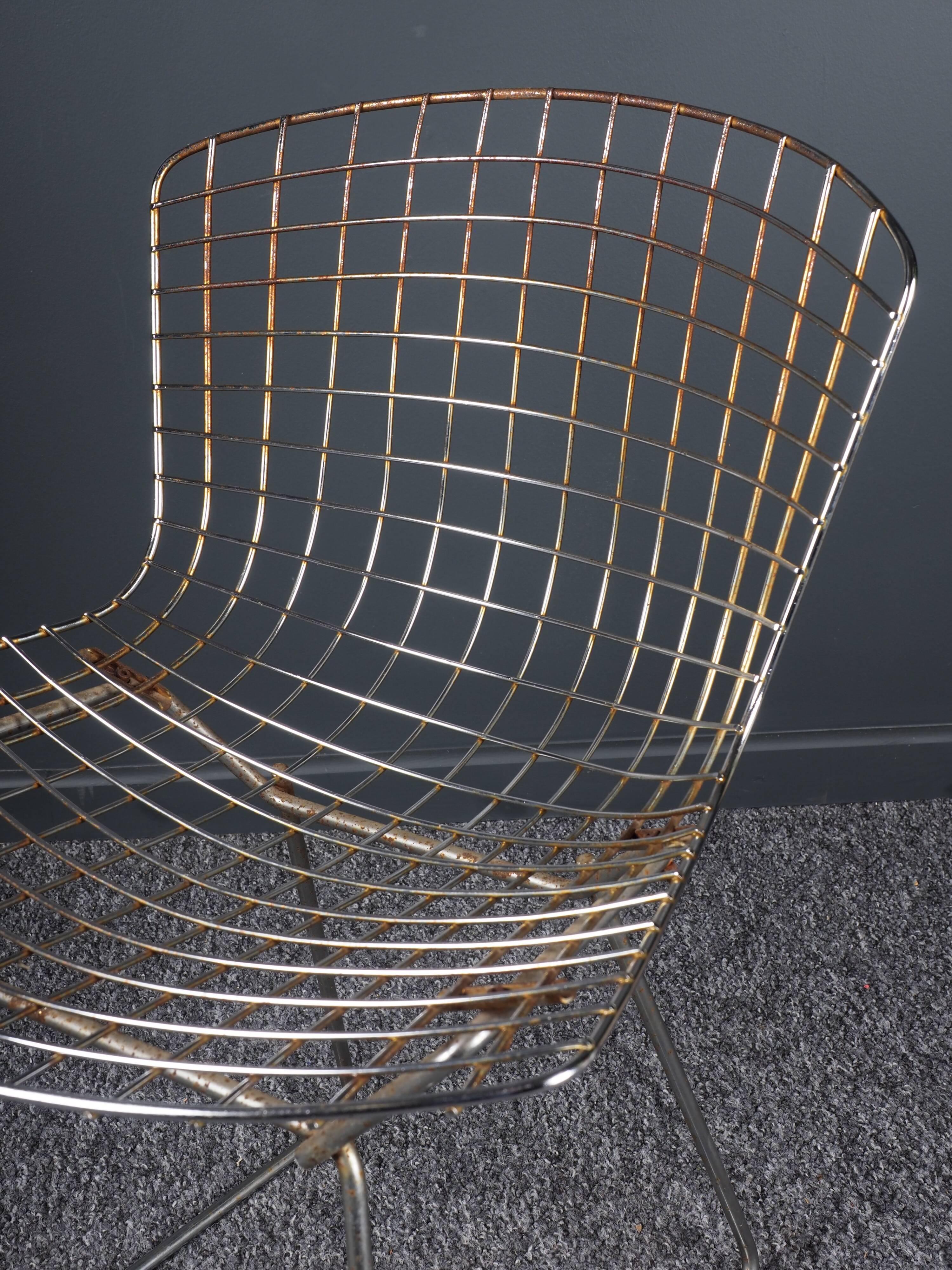 Pair of chairs by Harry Bertoia 80