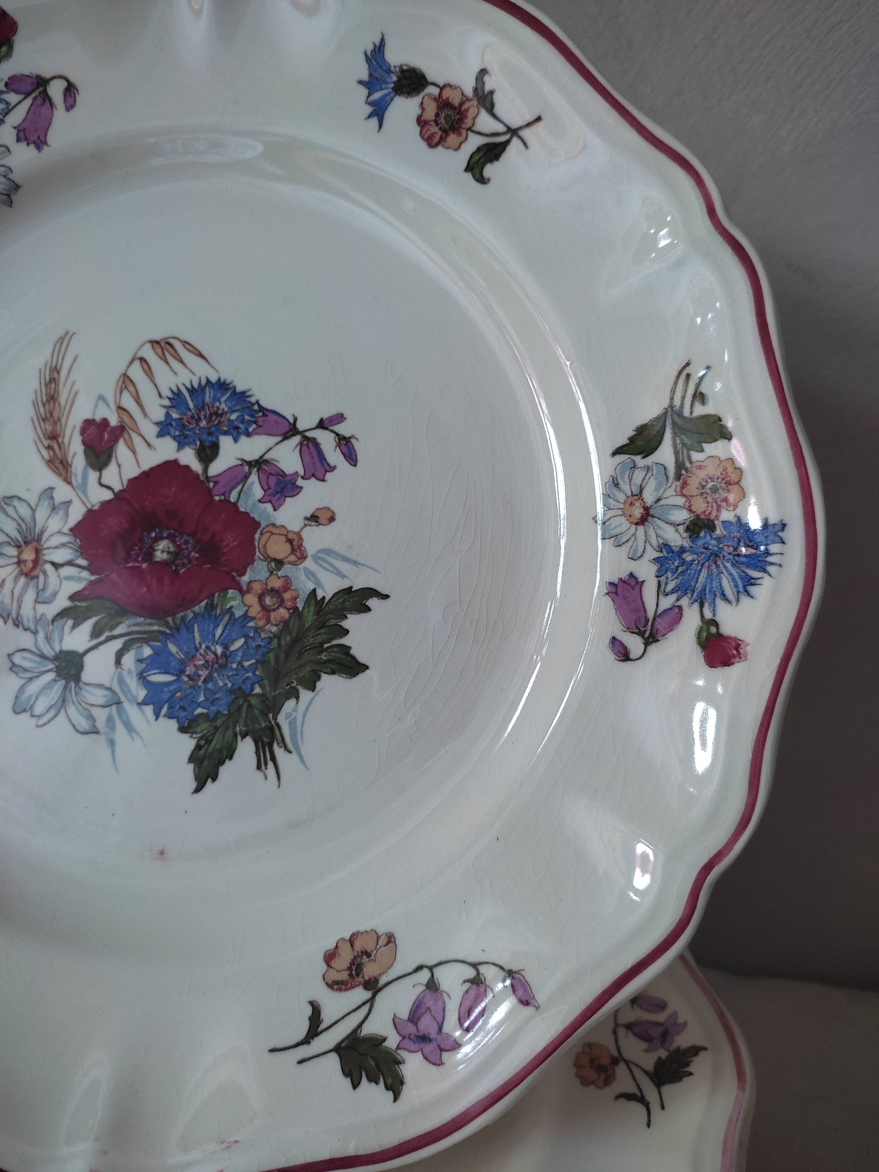 7 plates Sarreguemines Agreste