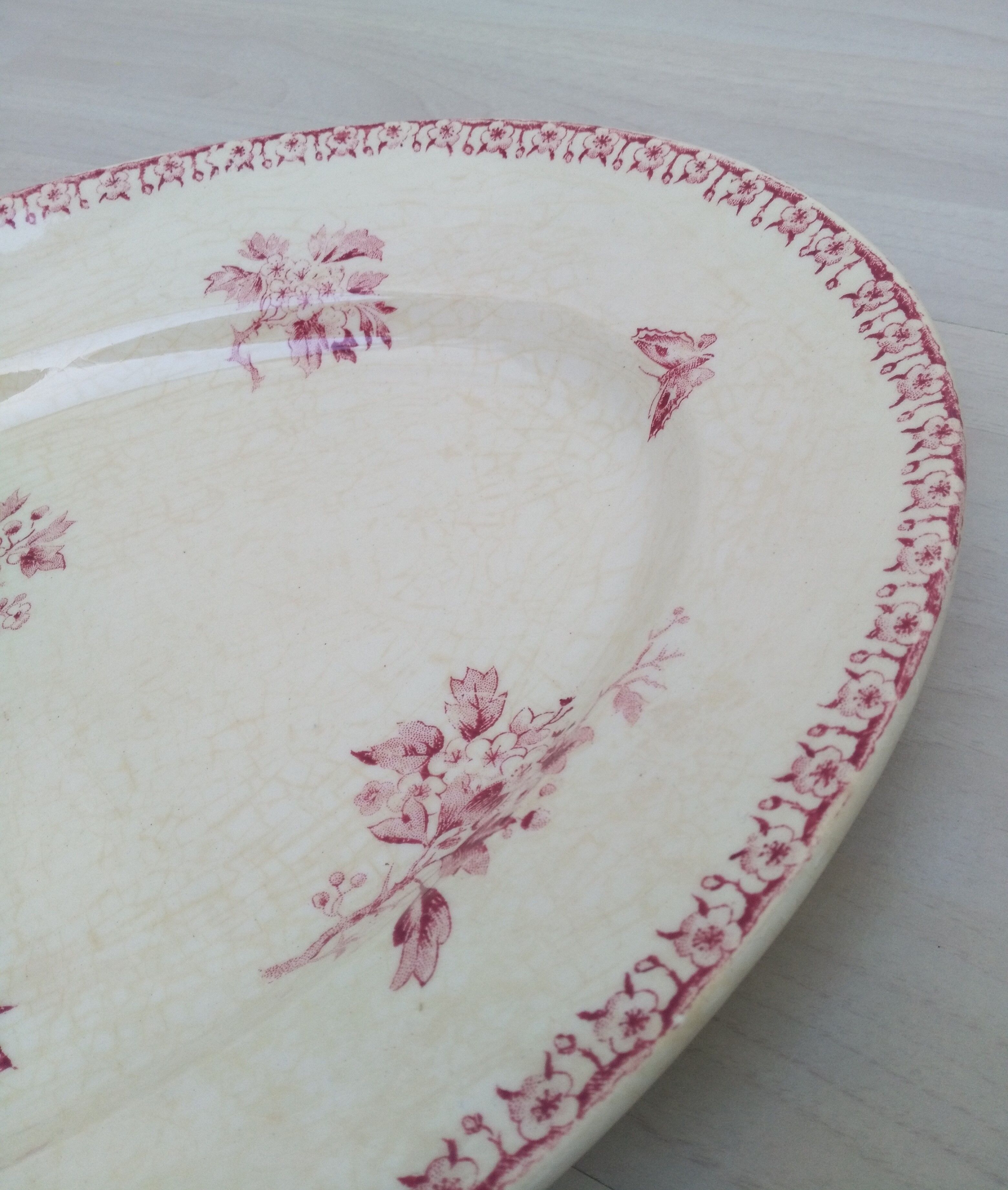 Oval plate in iron earth Gien model Pink Hawthorn