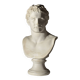 Bust of Meleager plaster classic