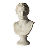 Buste de Méléagre en plâtre classique