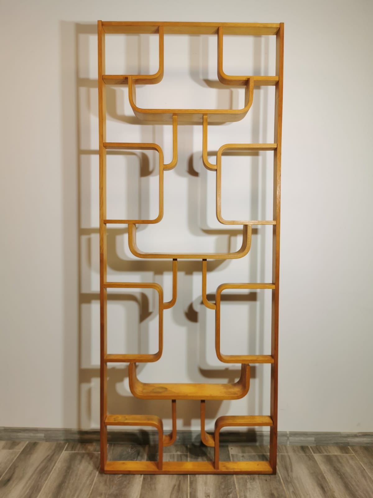 Room Divider by Ludvik Volak for Drevopodnik Holesov