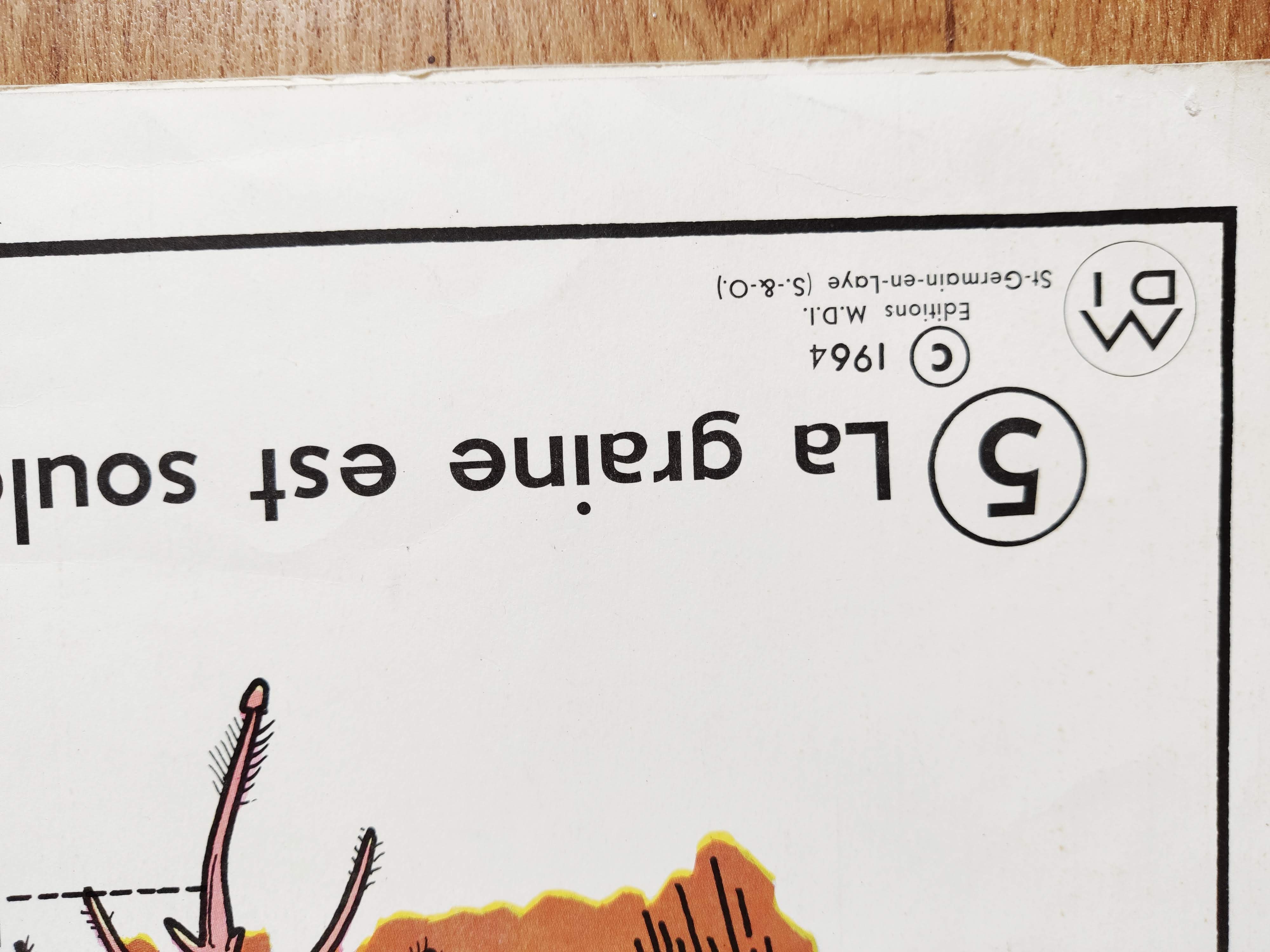 Vintage school poster MDI plant/germination