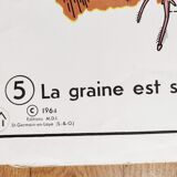 Vintage school poster MDI plant/germination