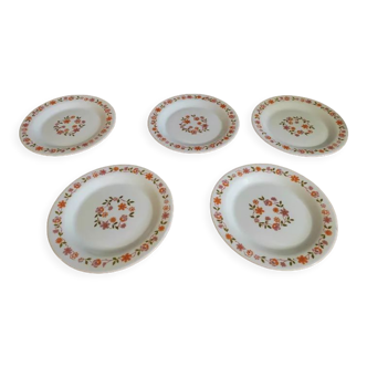 Arcopal dessert plates orange flowers dp 0123255