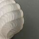 Wall lamp in frosted glass Art Deco 1950 scallop shell