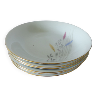 German porcelain soup plates