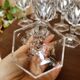 12 crystal water glasses Chaumont model