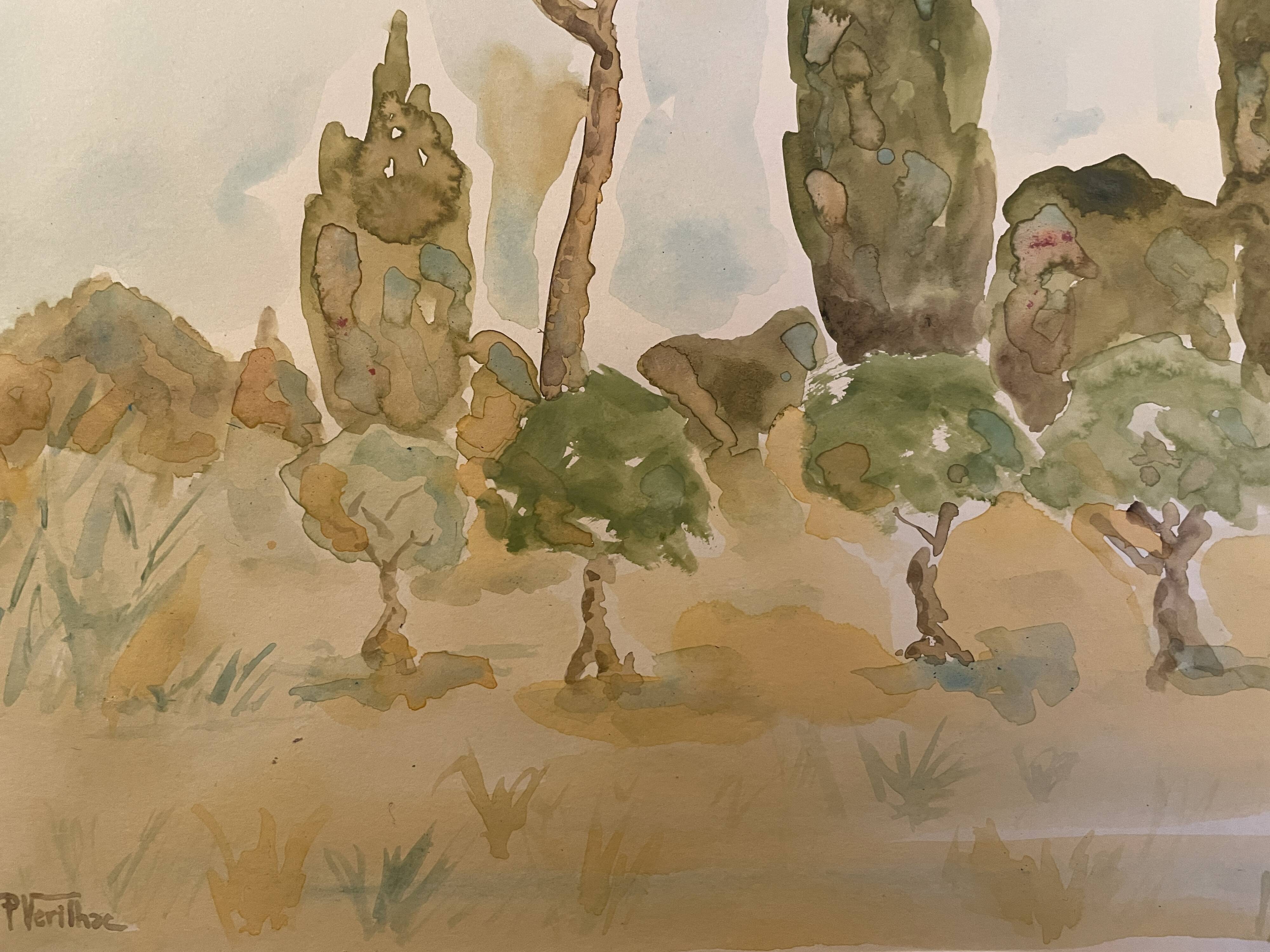 Signed watercolor painting “olive tree field in Provence”