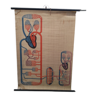 Vintage school poster