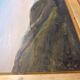 Framed nature painting / French artist