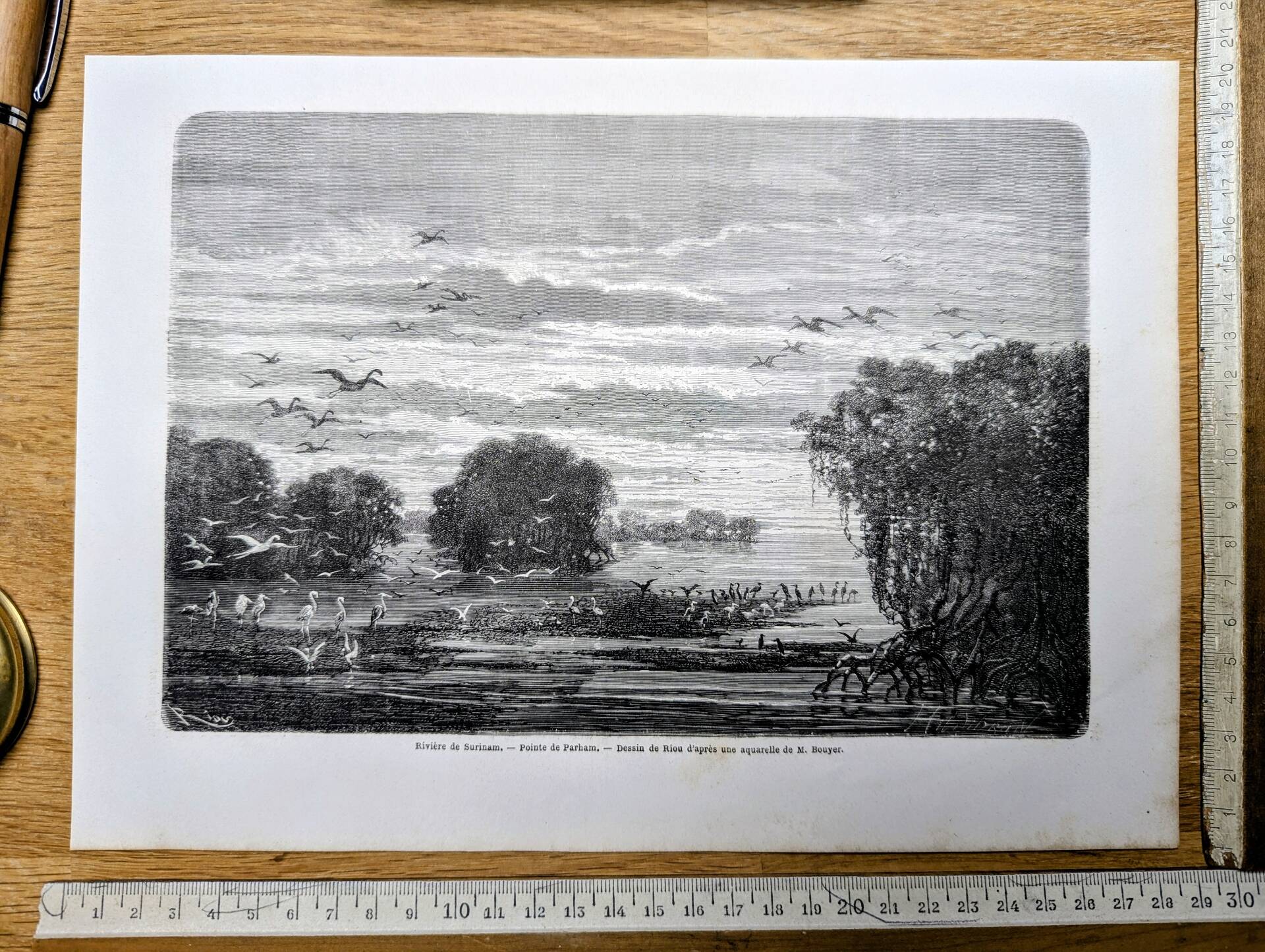 Suriname River, Parham. Printed illustration from 1866.