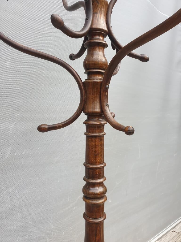 Fixed parrot rack bentwood Thonet 1900